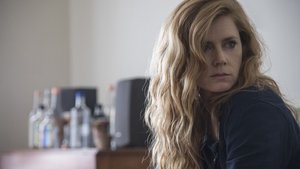 Amy Adams Set To Star in a New Drama AT THE SEA